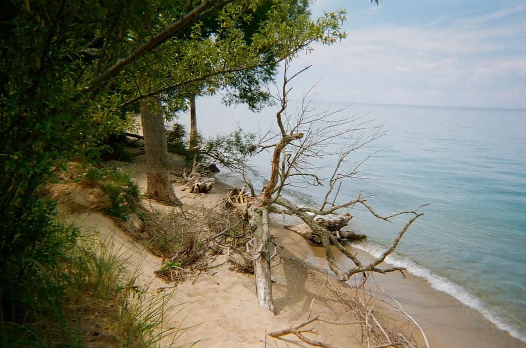 Magoon Creek Beach