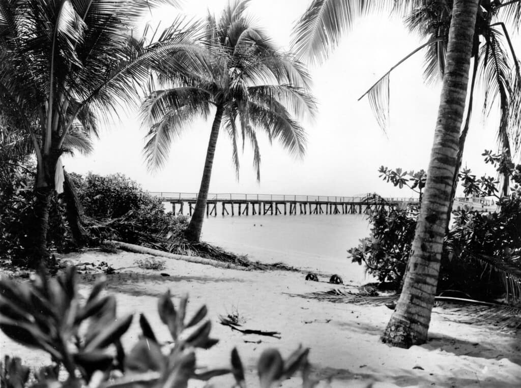 Seymour Island South Beach view 2