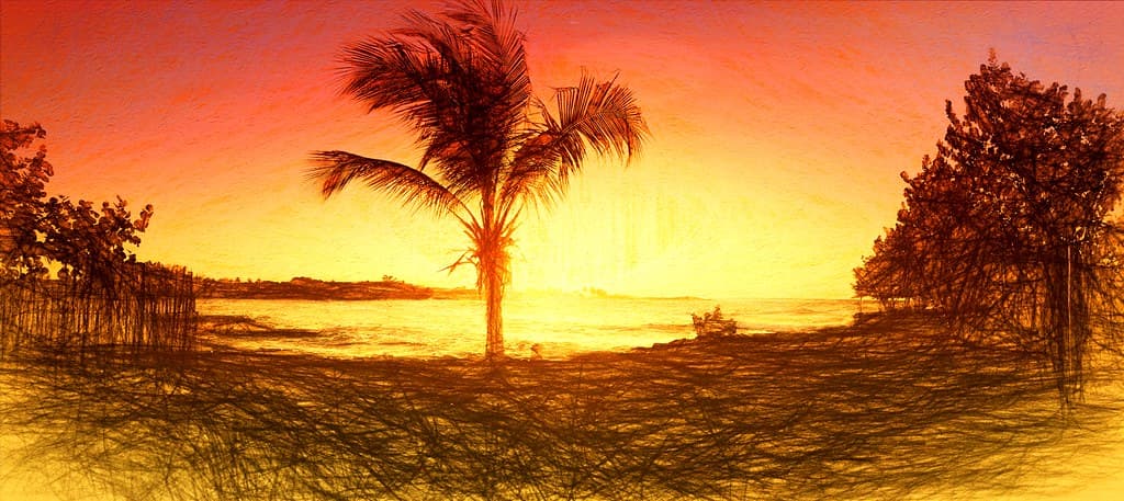 Playa Celimar