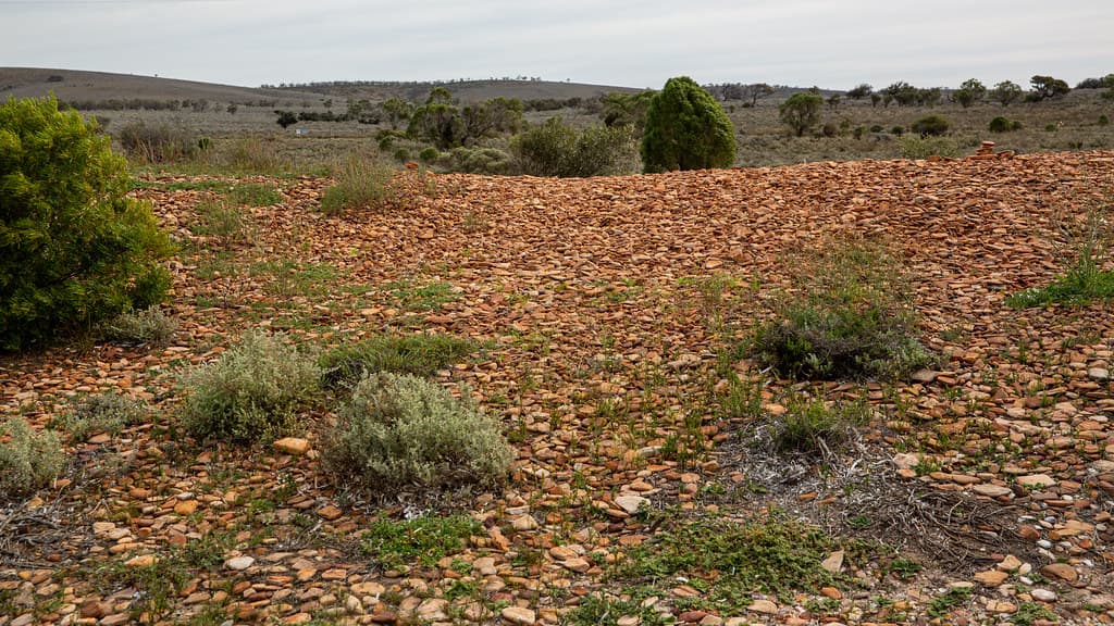 Eyre Peninsula Beach