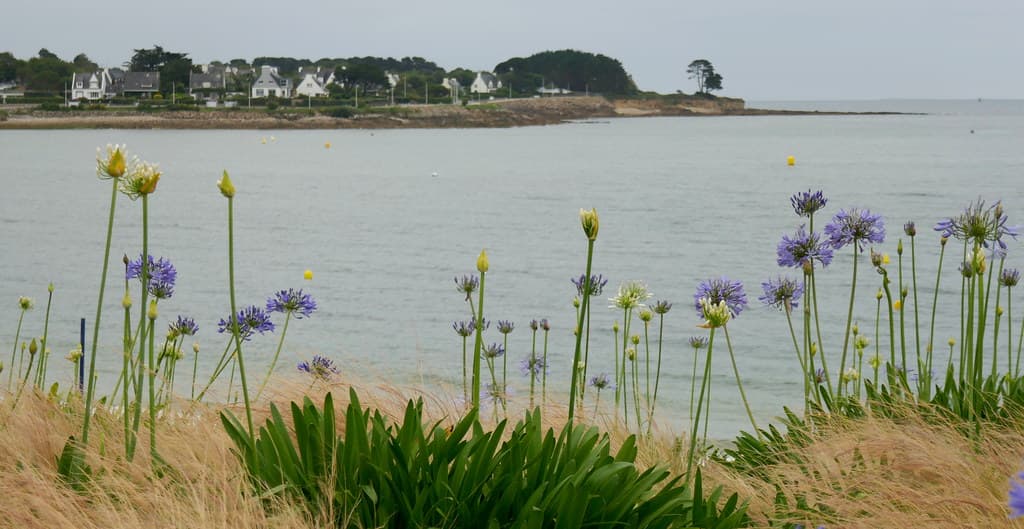 Plage du Trez view 3