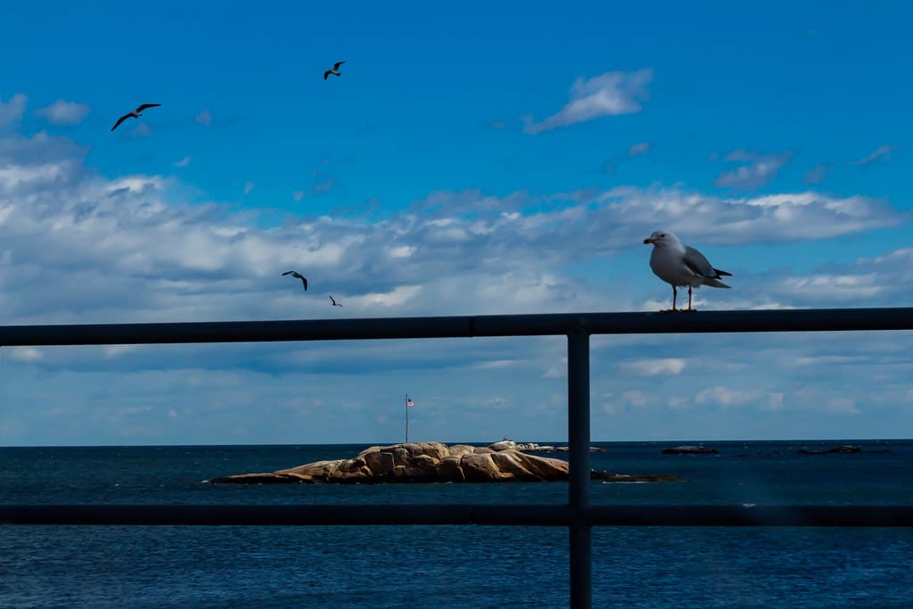 Minot Beach view 2