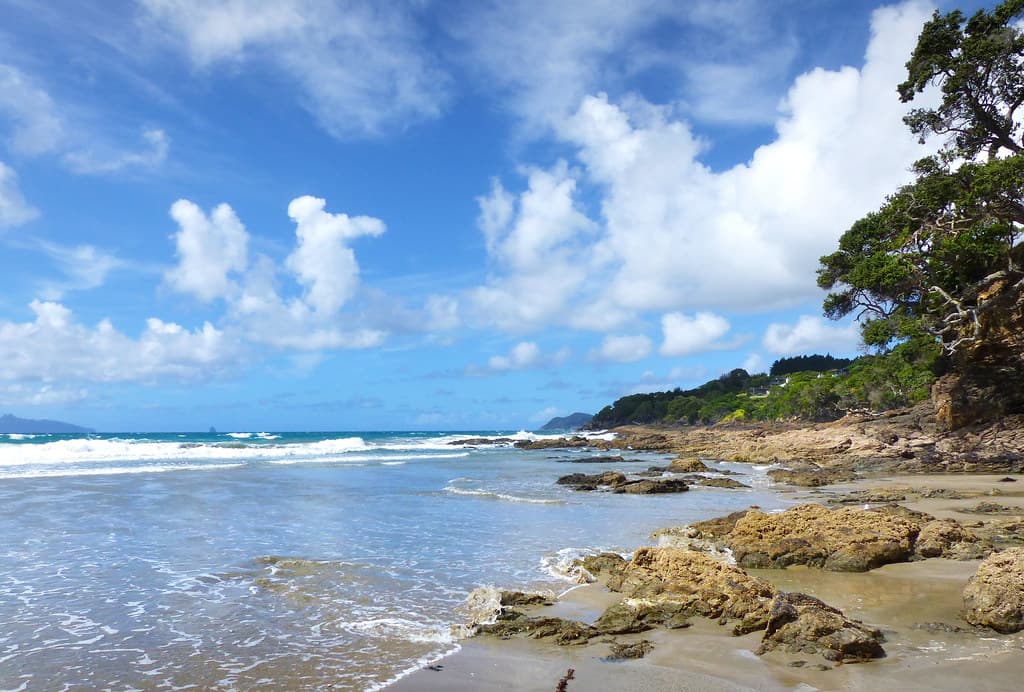 Waipu Cove view 2