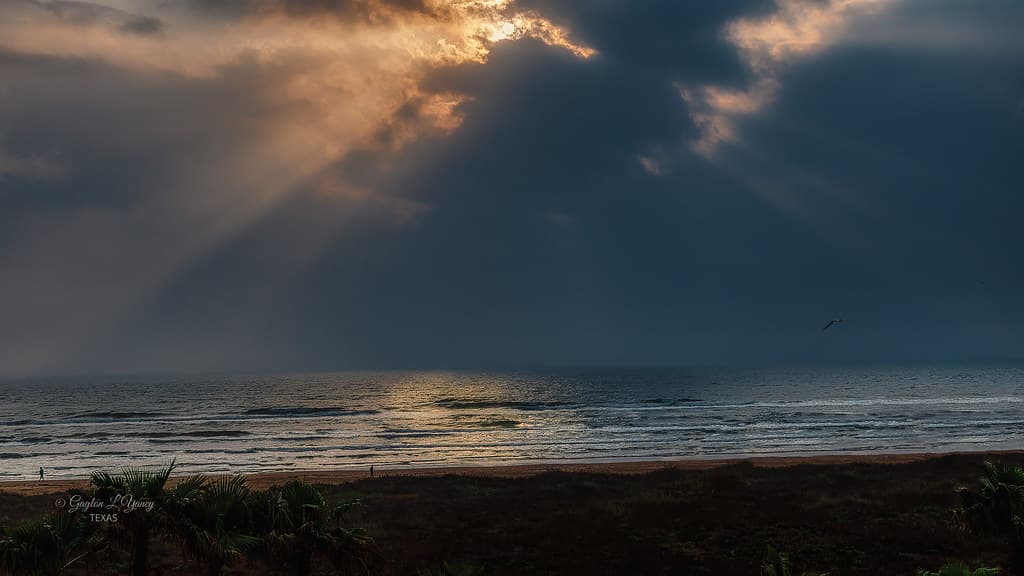 South Padre Sunrise Beach view 2