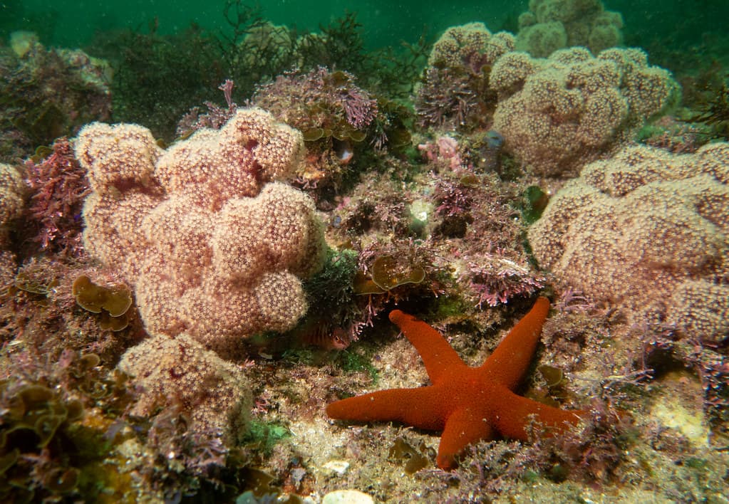 Coral Bay view 2