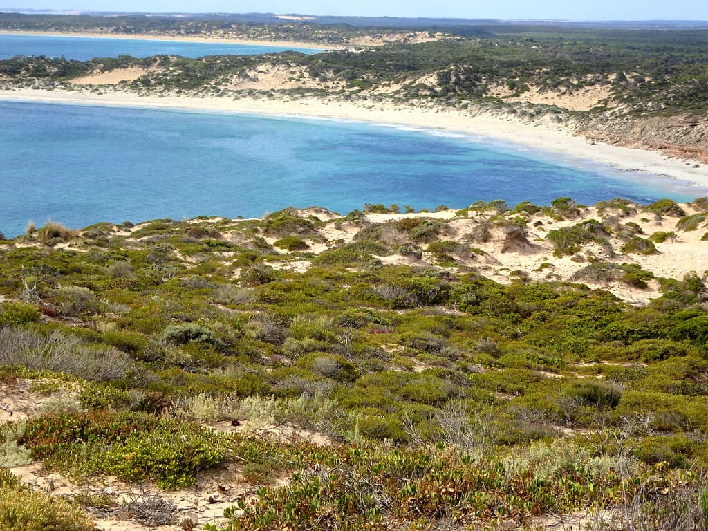 Whiting Beach
