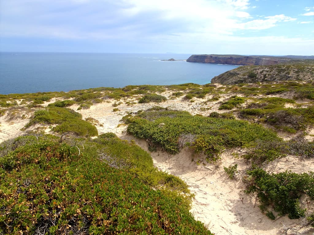 Yorke Peninsula. Innes Dhilba Guuranda National Park.  Near Stenhouse Bay. The rugged coastline near  Cape Spencer.