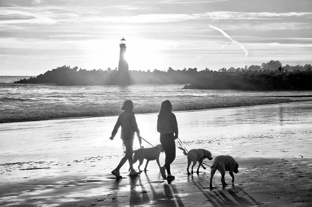 Lighthouse Beach