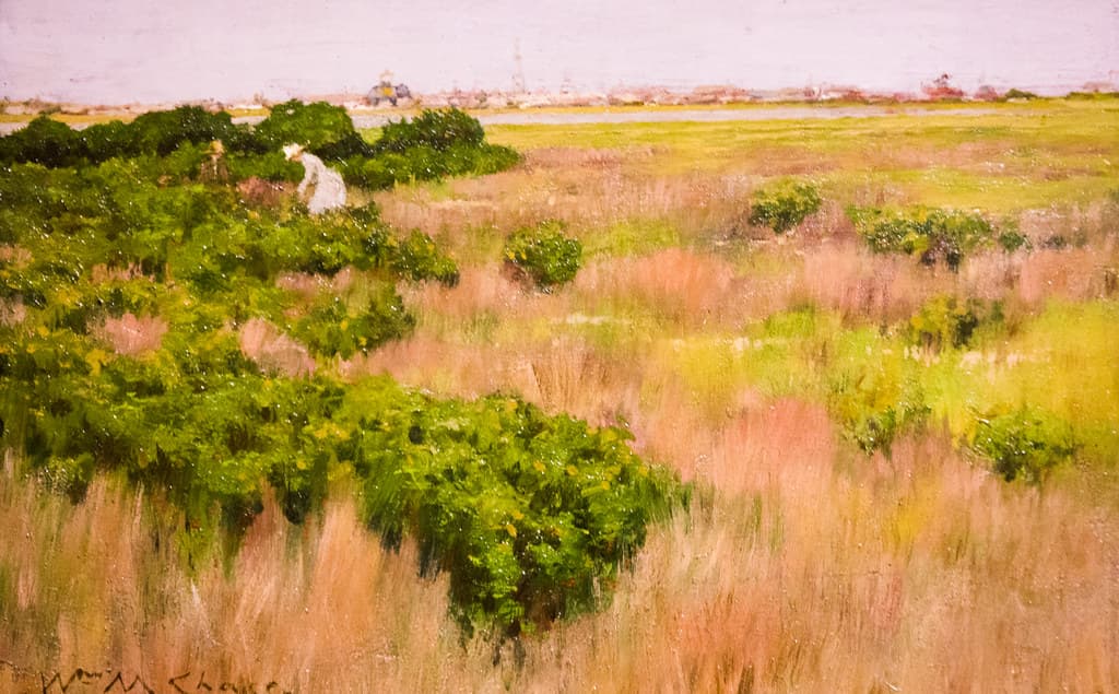 Landscape Near Coney Island