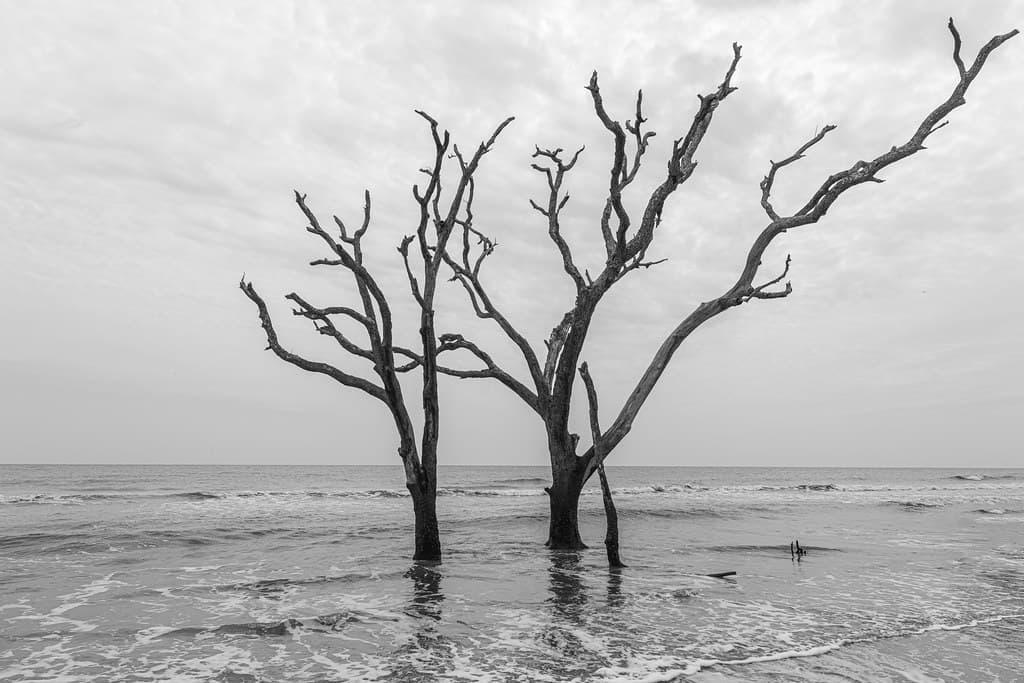 Scott Creek Beach