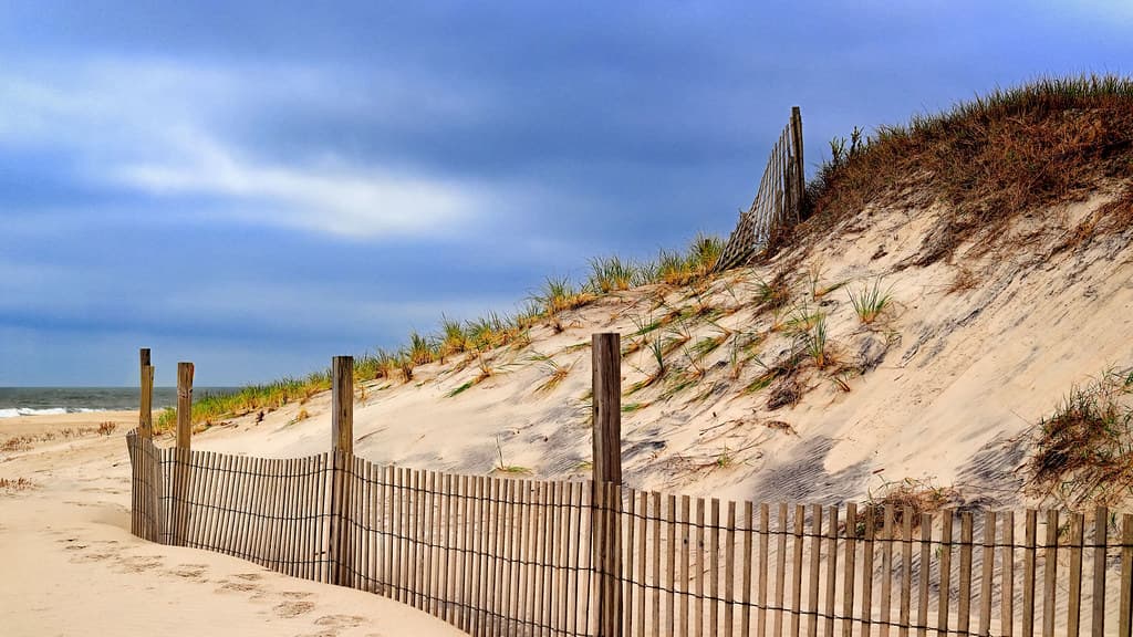 Atlantic Dune