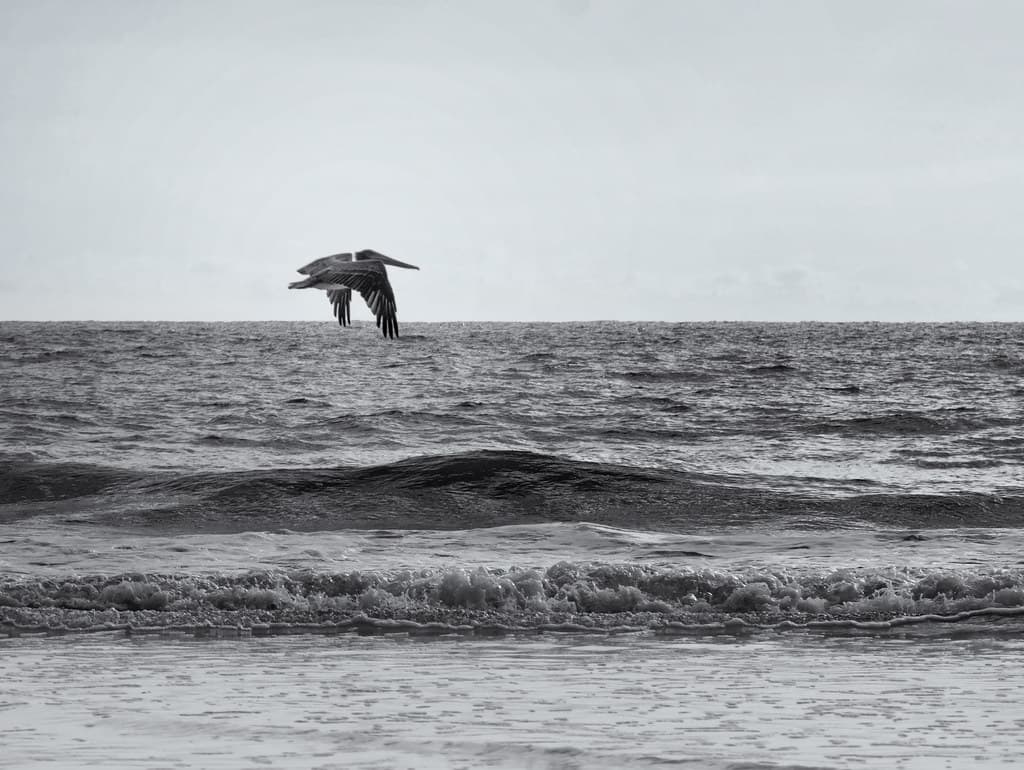 Atlantic Beach view 3