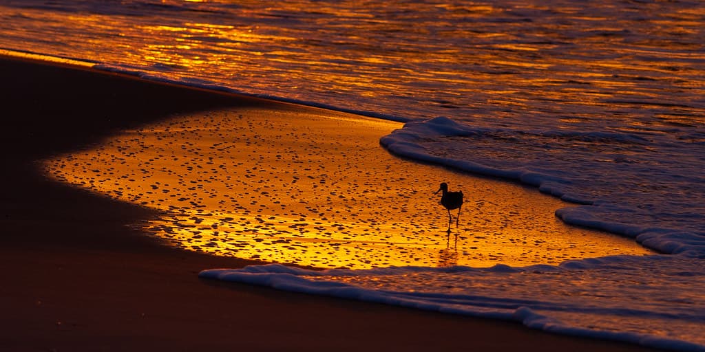 Sunrise, St. George island, Florida