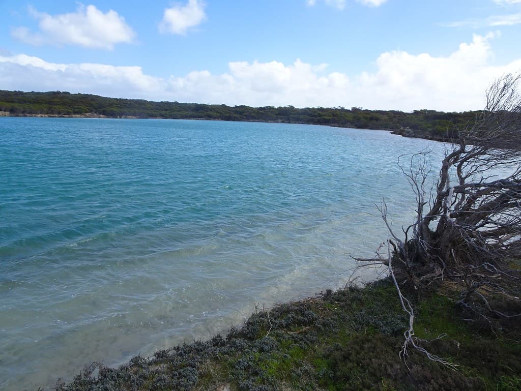 Pareora Beach view 3