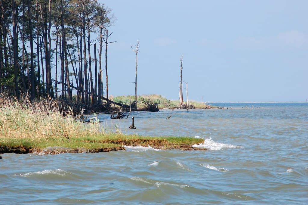 Tilghman Island Beach