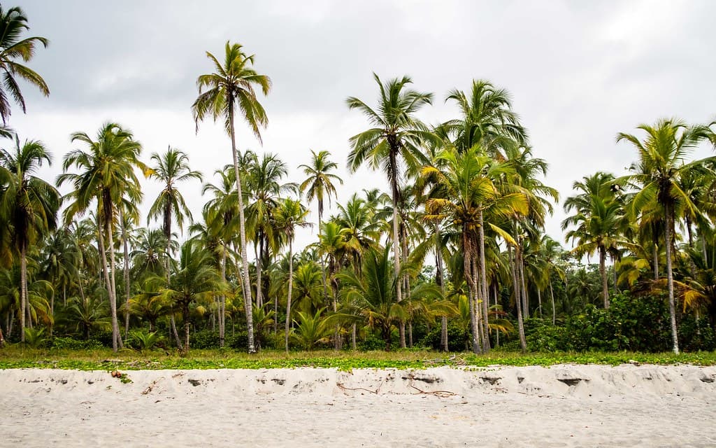 Playa Mendihuaca