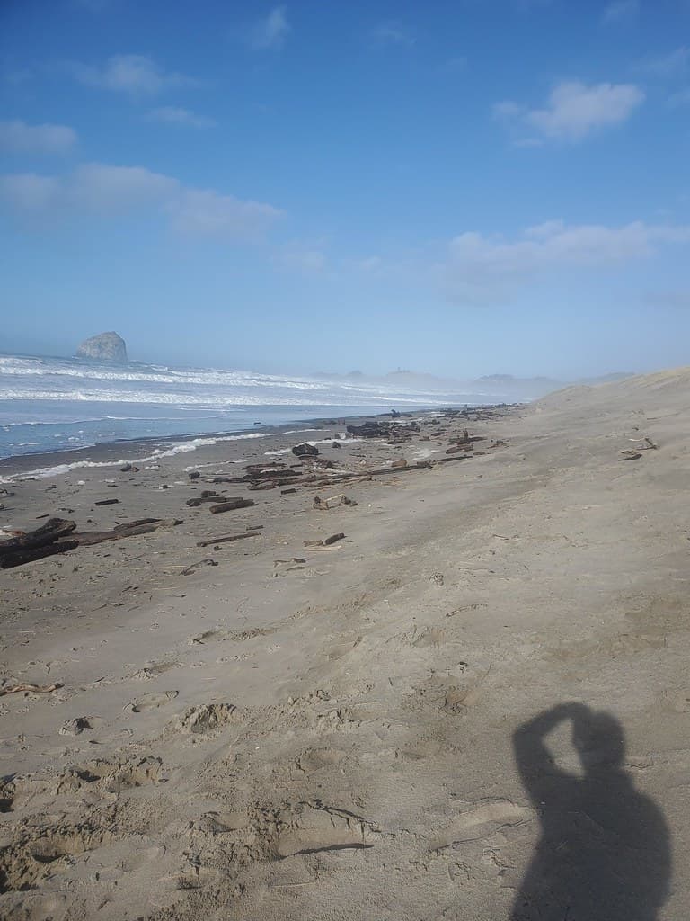 Bob Straub State Park Beach