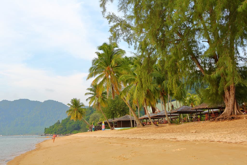 Coral Beach