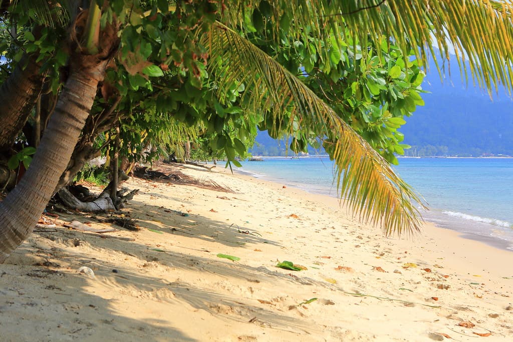 Coral Beach view 2