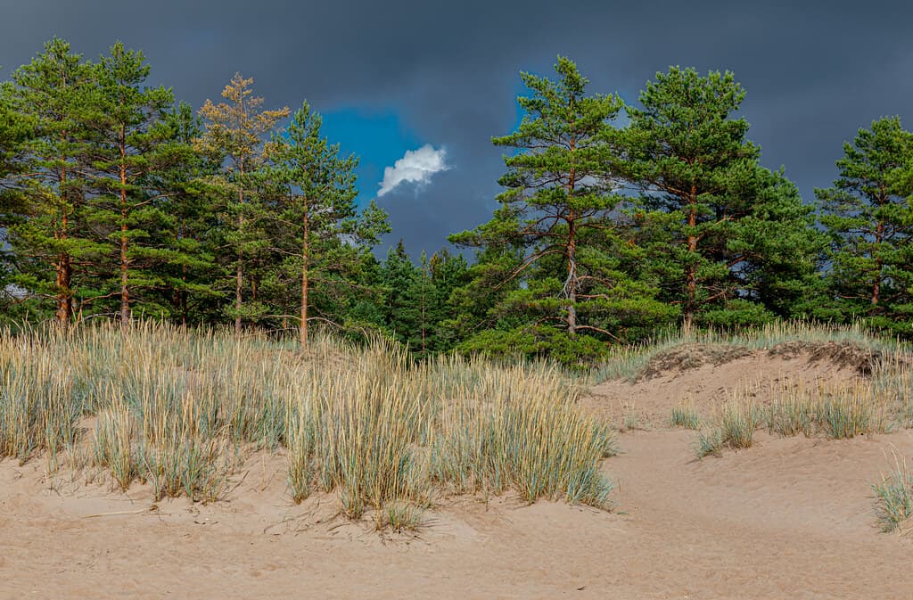 Yyteri Hidden Dunes Cove — photo by Ninara