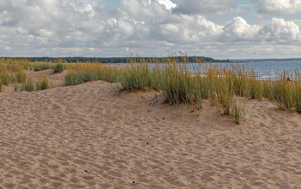 Yyteri Hidden Dunes Cove view 3