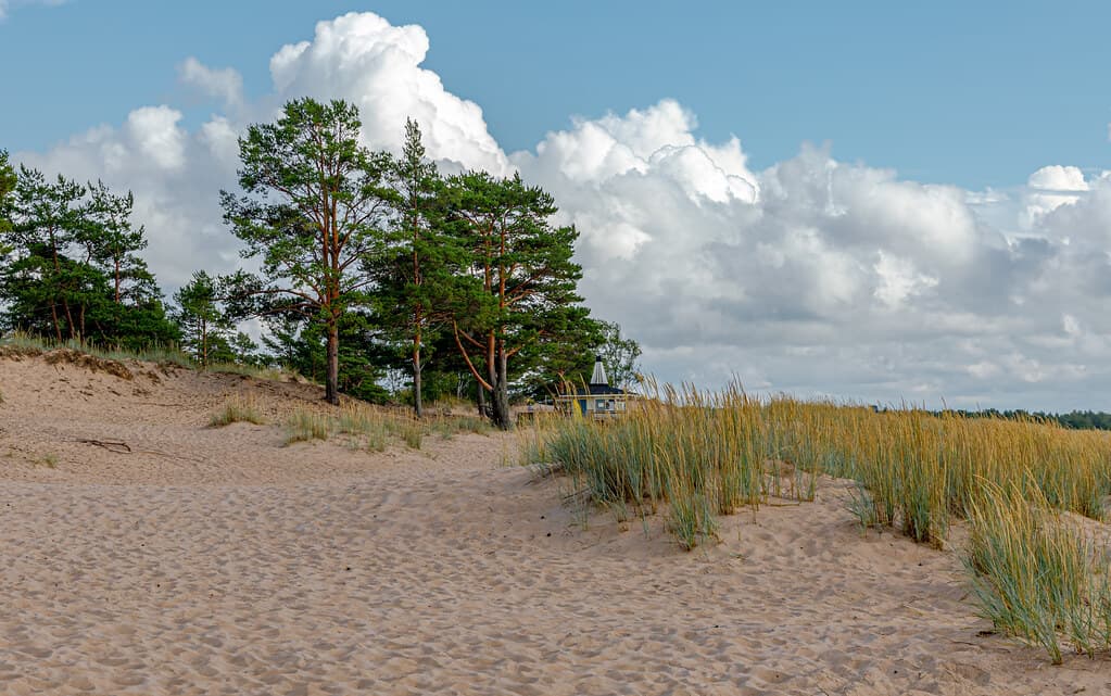 Yyteri Hidden Dunes Cove