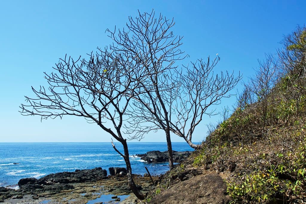 Playa Punta Bejuco