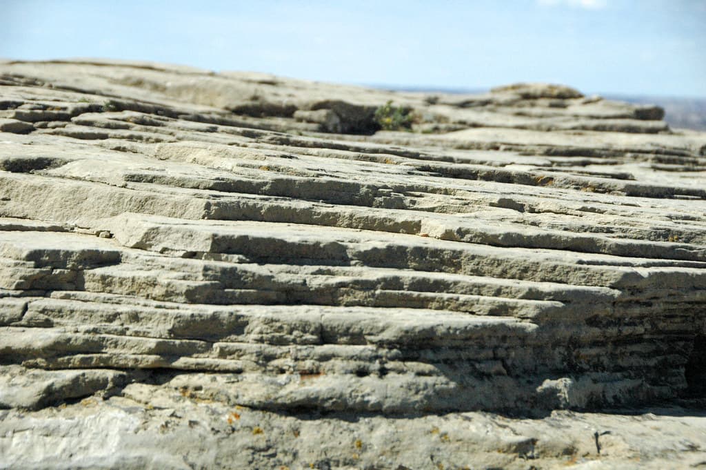 Sandstones (Sentinel Butte Formation, Upper Paleocene; Buck Hill, Little Missouri Badlands, North Dakota, USA) 8