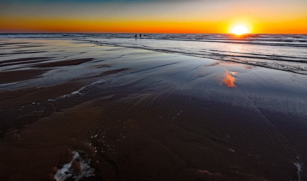 Ocean Beach