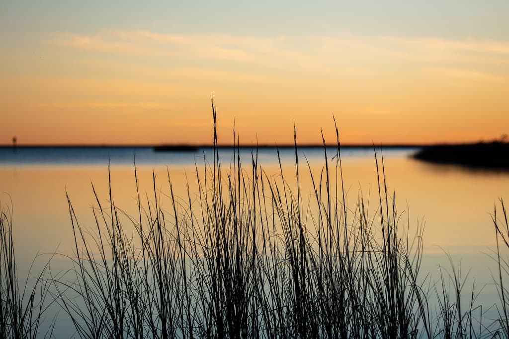 Marsh Island Gulf Beach