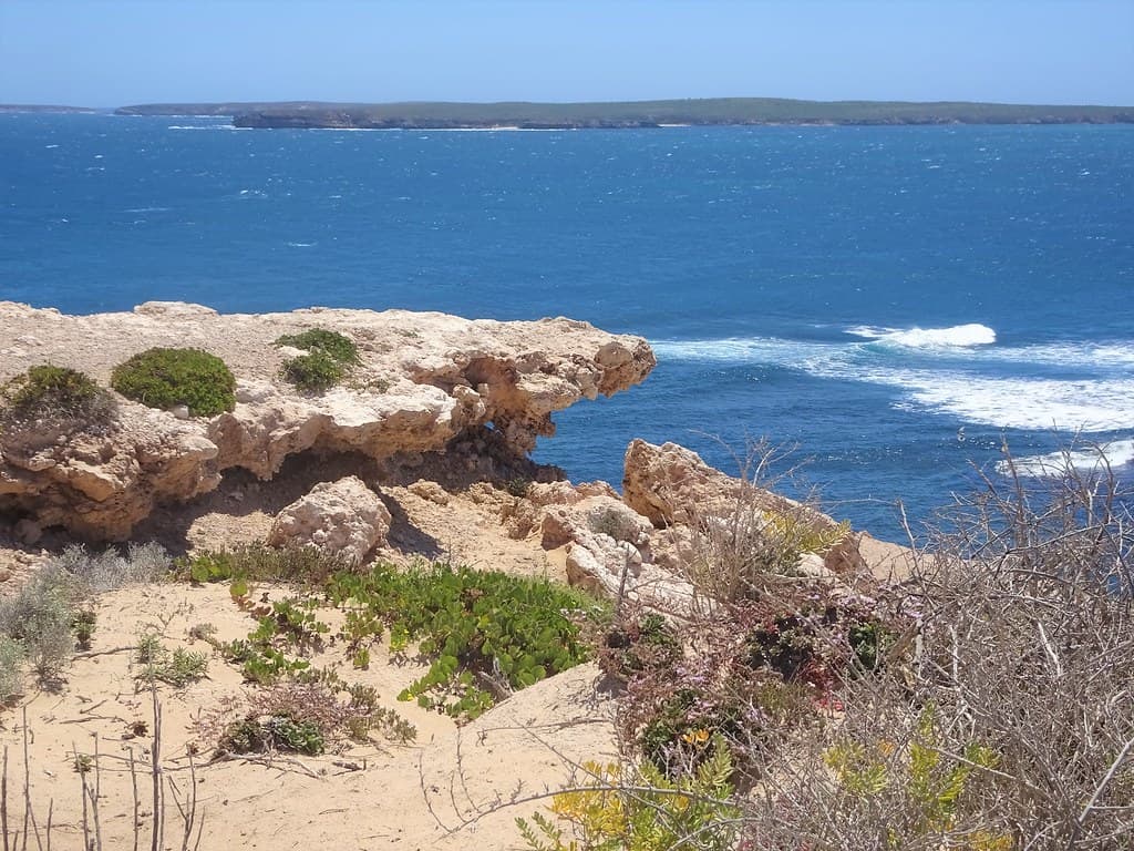 Ellis Beach view 3
