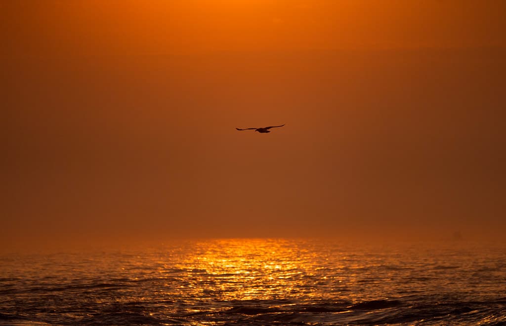 Manasquan Inlet Beach view 3