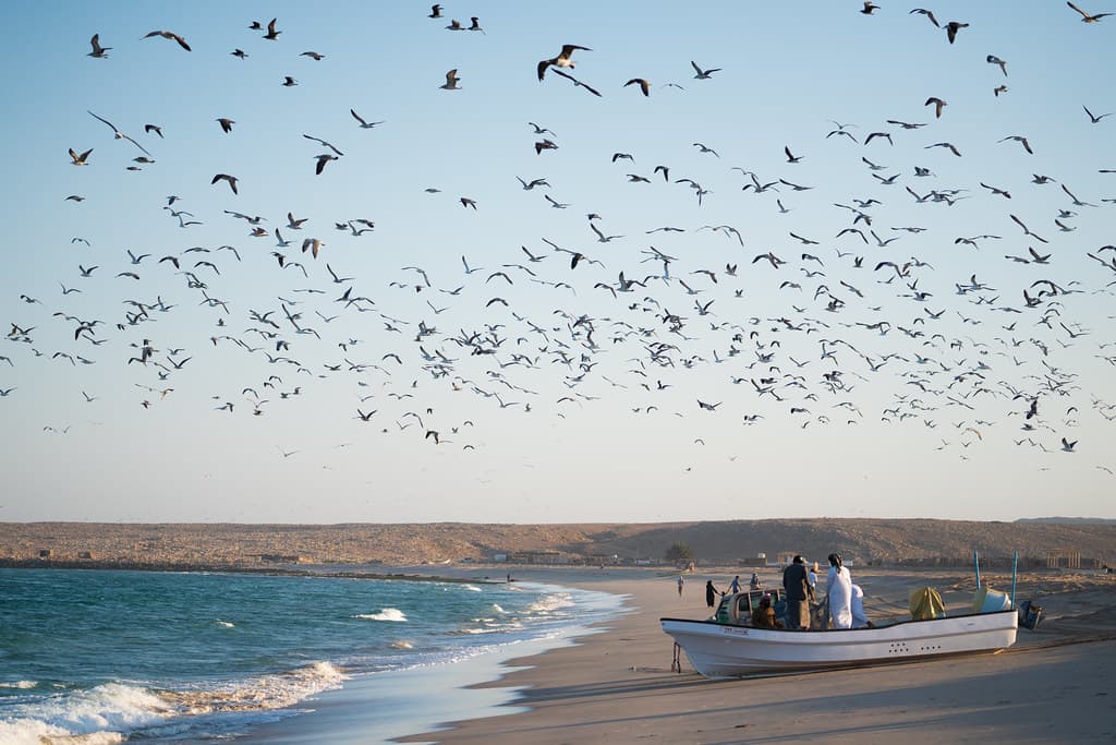 Ras Al Hadd Beach