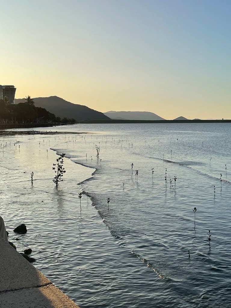 Trinity Beach