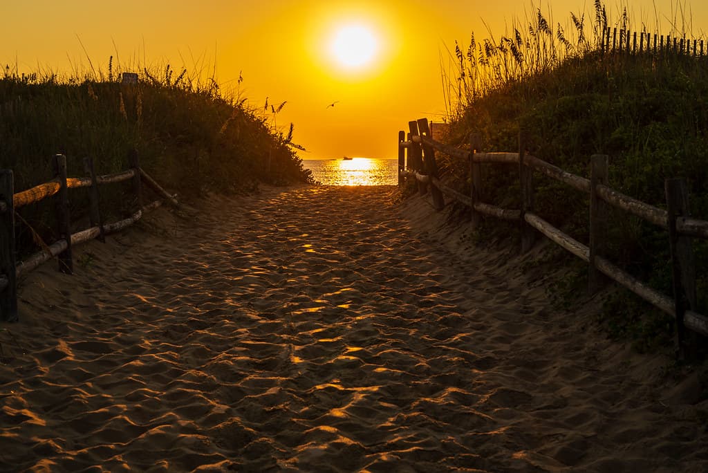 Sandbridge Beach view 2