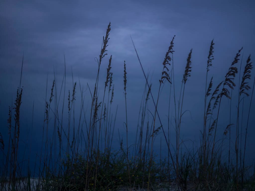 Augustine Beach