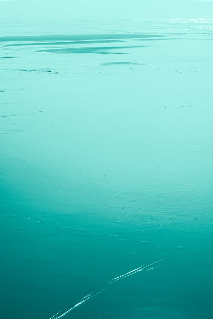 Salmon Creek Beach view 2