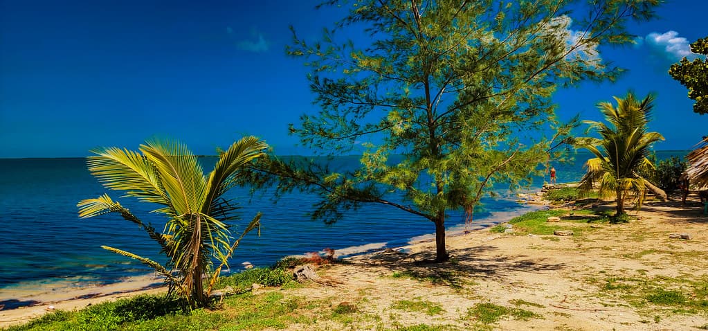 Playa Carahatas view 2