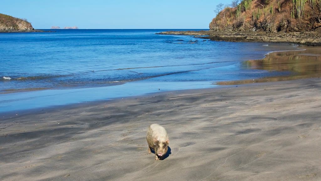 Playa Danta view 2