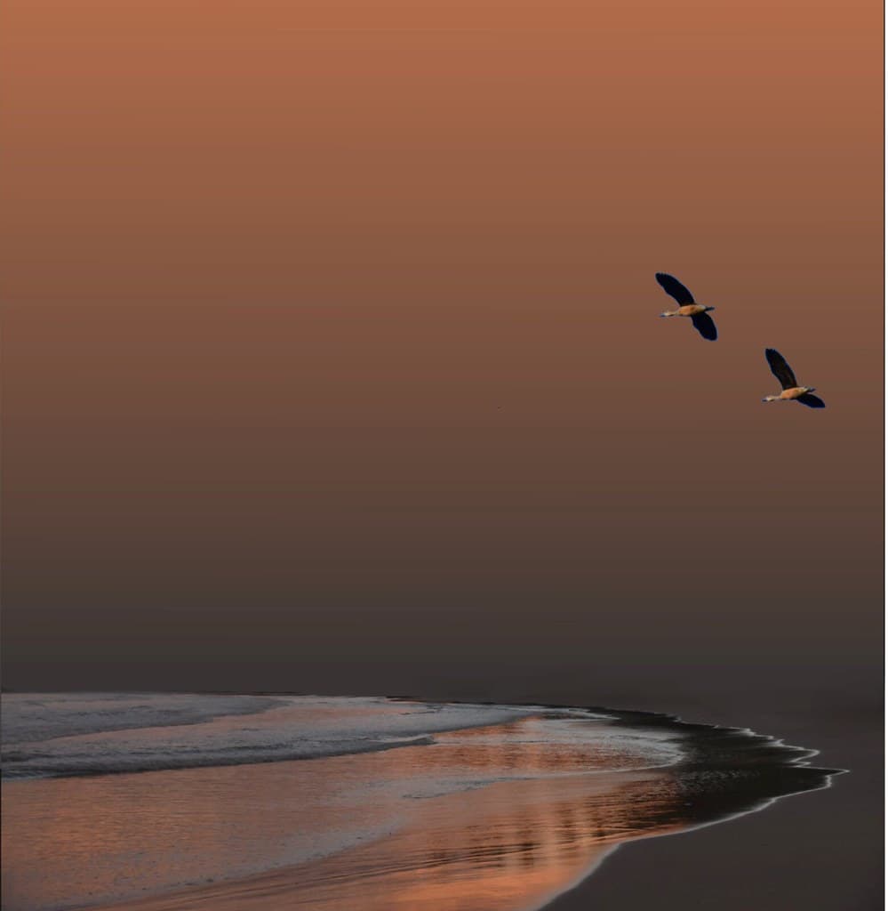 Ocean Shores Beach