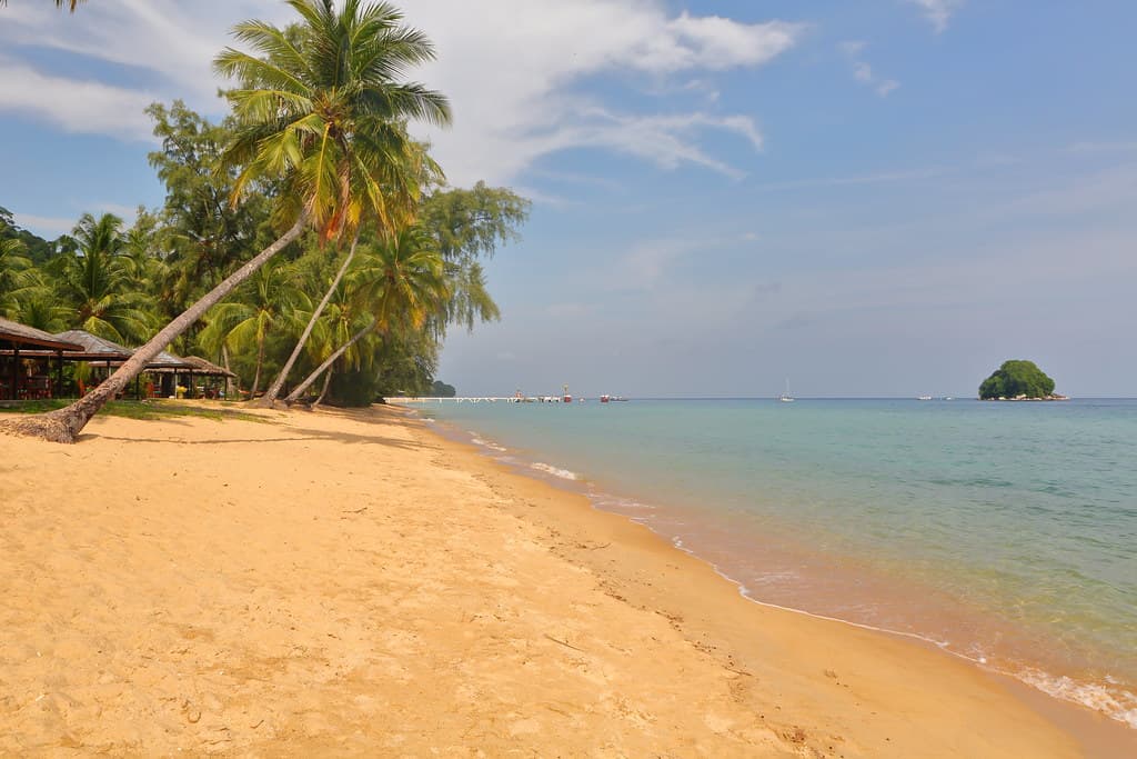 Shark Reef Beach