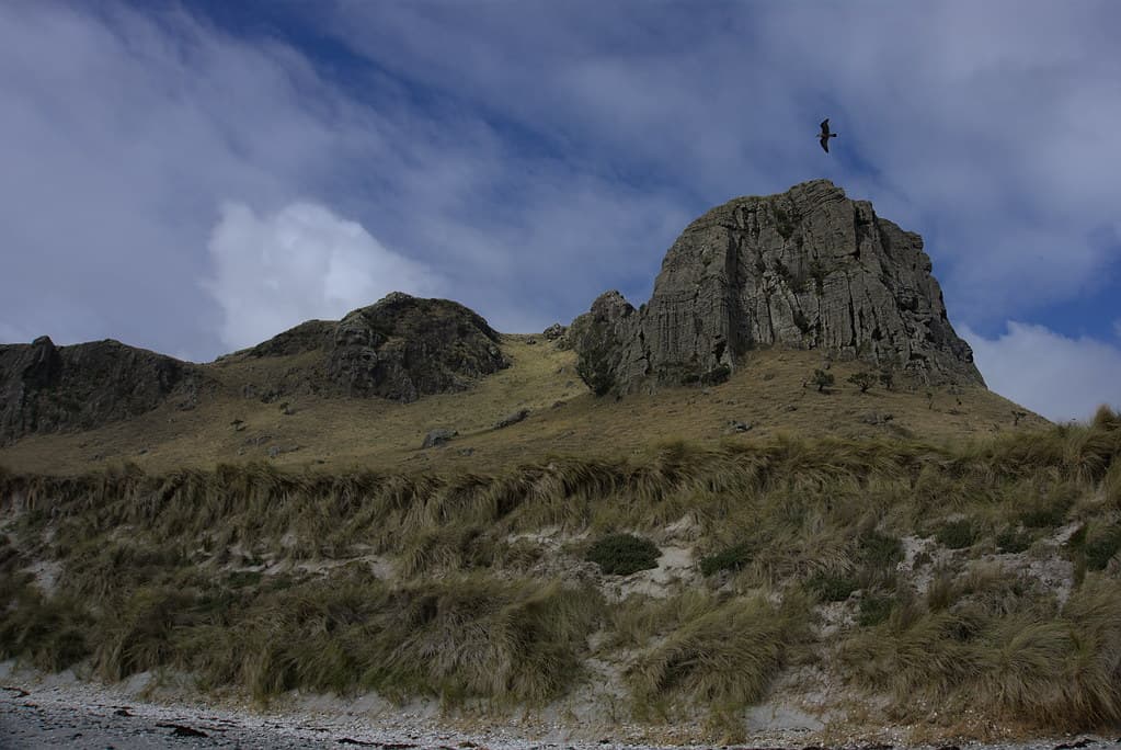 Wharekauri Beach