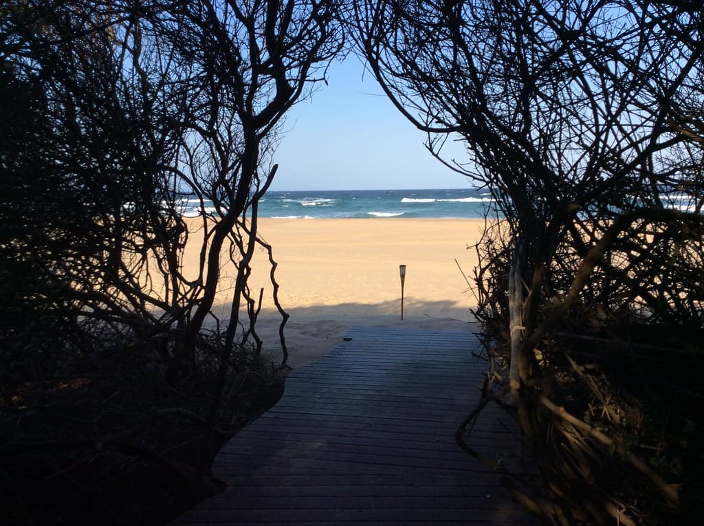 Ponta Milibangalala Beach — photo by Transfrontier Conservation Areas Southern Africa