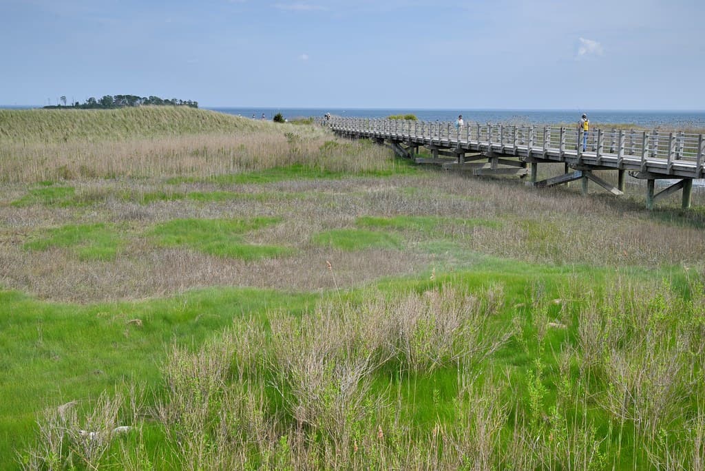 East Beach (Ocean Springs)