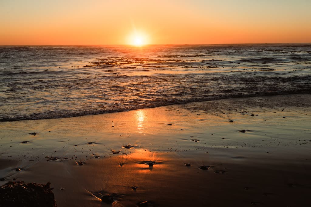Fogarty Creek Beach