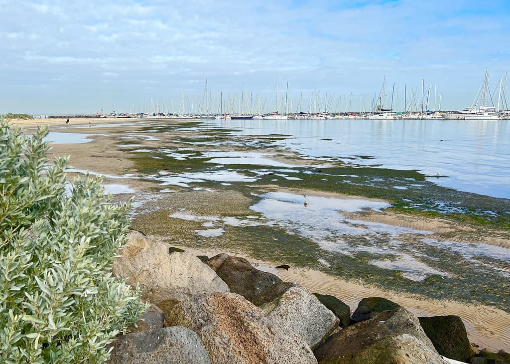 Boat Harbour Beach