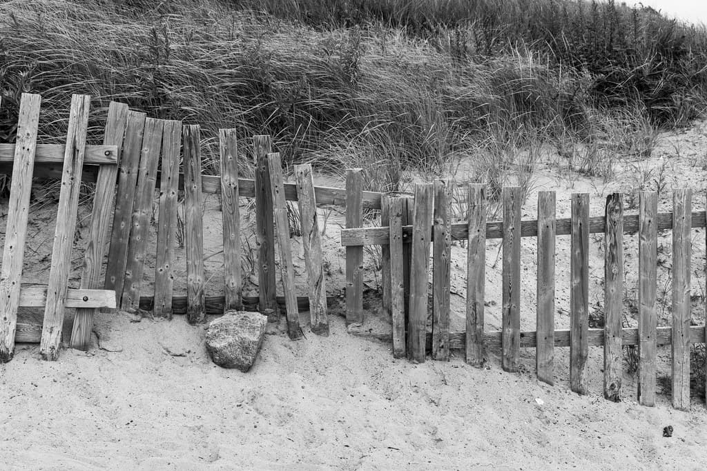 Paines Creek Beach