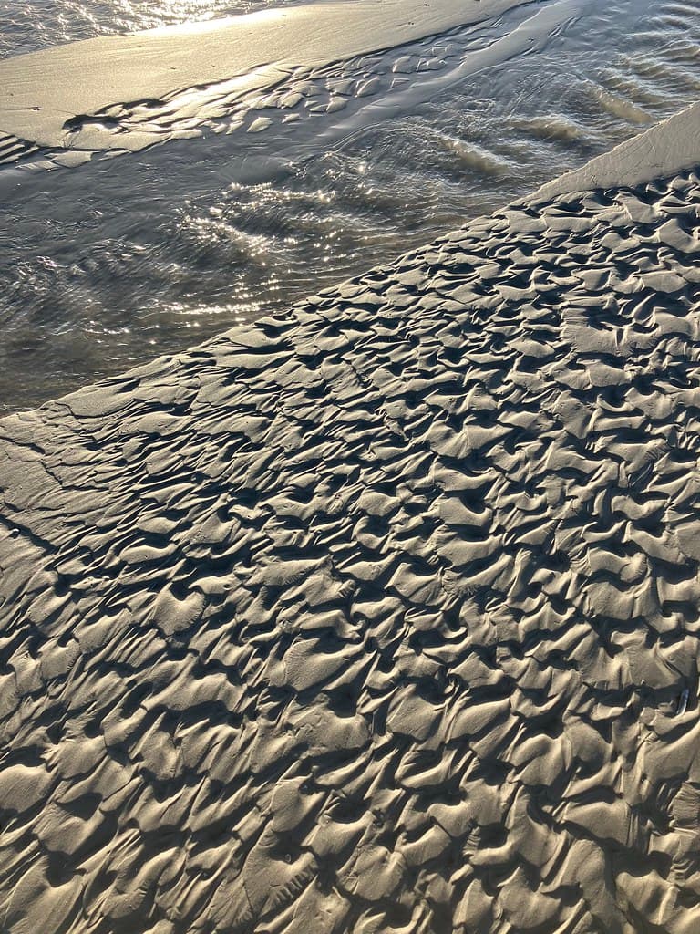 Hidden East Dunes — photo by Capturing Silence - Erik Bethlehem