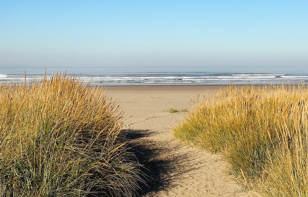 Gearhart Beach