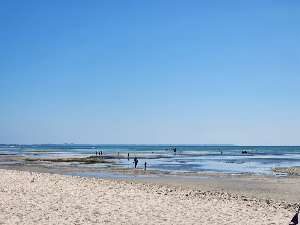 Low tide at Capel Sound Beach - wide